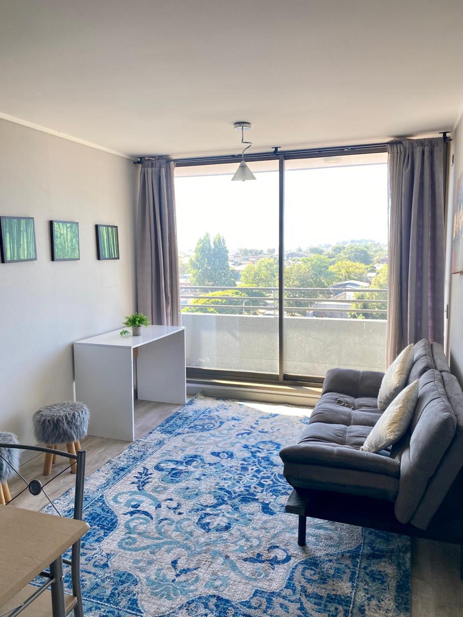 Apartamento Departamento Por Dia Concepción